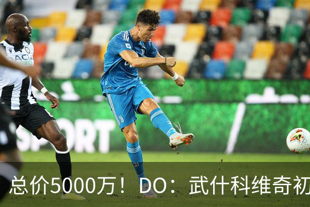 总价5000万！DO：武什科维奇初始转会费4600万镑，热刺有二转分成