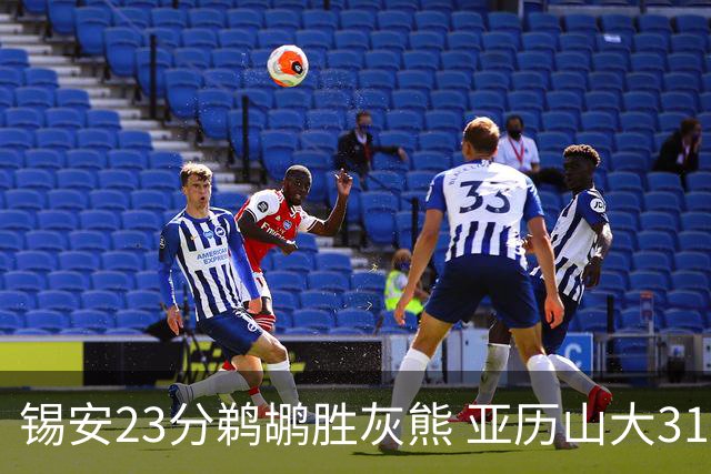 锡安23分鹈鹕胜灰熊 亚历山大31+10雷霆屠公牛