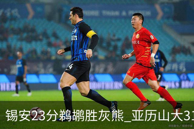 锡安23分鹈鹕胜灰熊 亚历山大31+10雷霆屠公牛